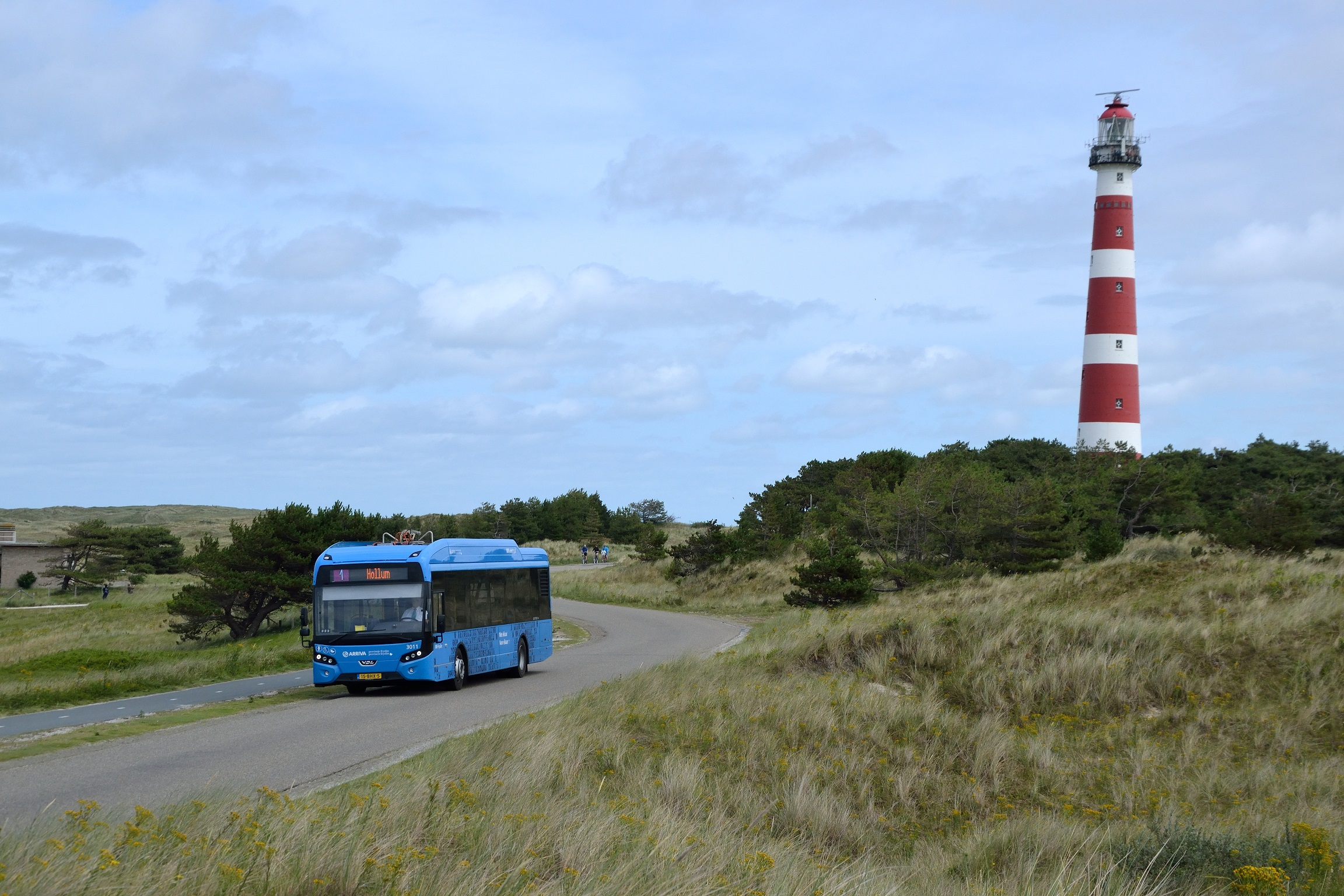 Blauwe bus rijdt door duinen Ameland met rood-witte vuurtoren op de achtergrond.