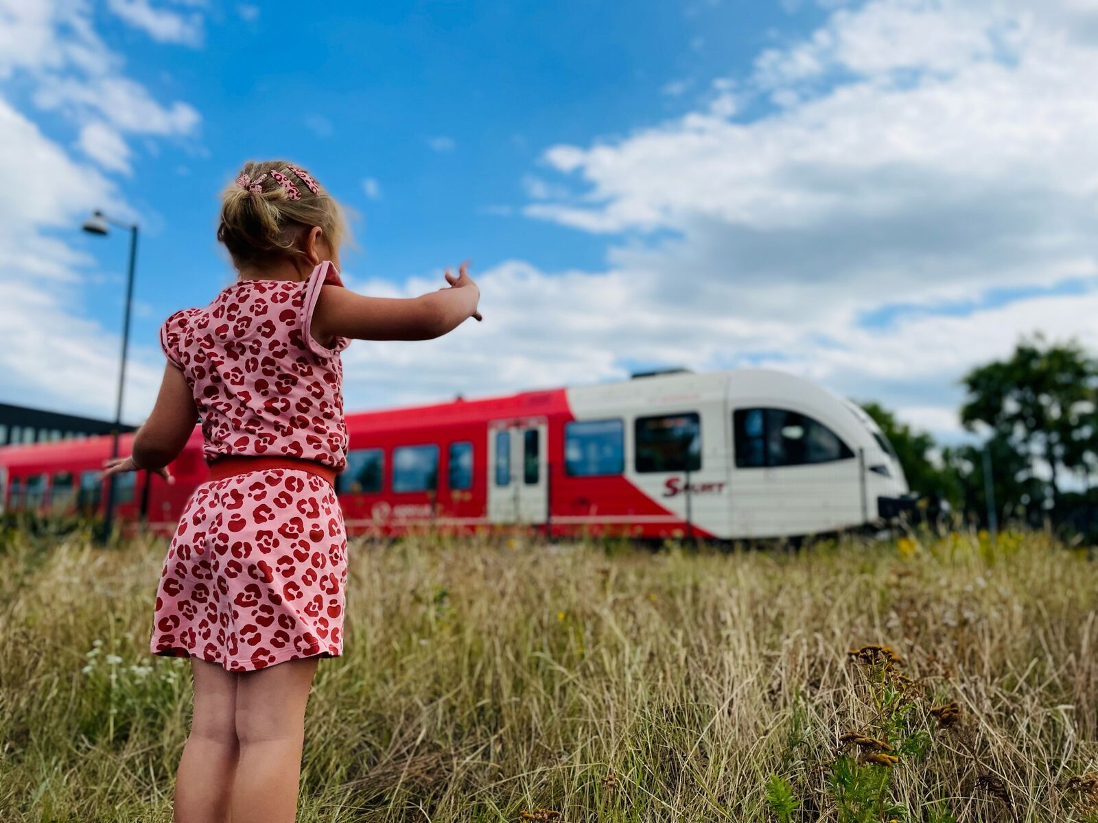 Een meisje van een jaar of vijf in roze zomerjurk staat in hoog gras en kijkt naar een rode Arriva-trein.